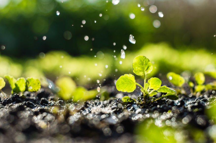 How Tethys Platform Supports Adaptable Environmental Solutions